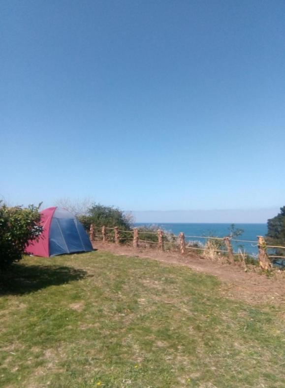 Aire De Camping Car, Caravane, Tente Emplacement Nu Avec Electricite Petit Camping Hotel Plestin-les-Grèves Exterior foto
